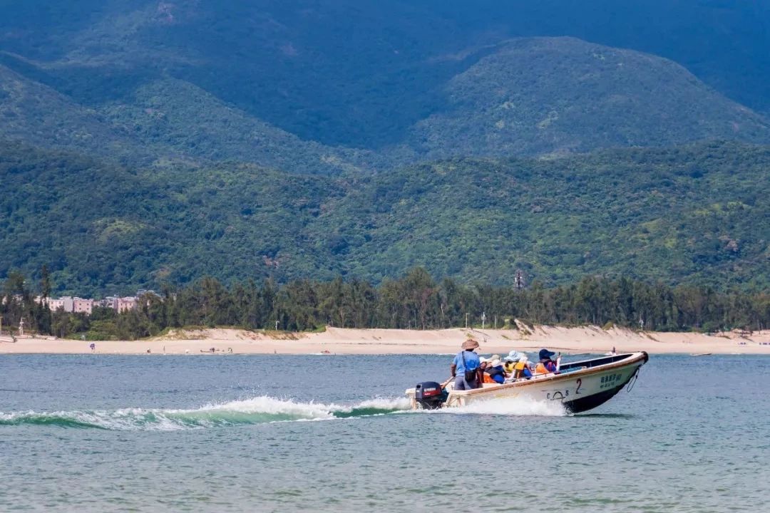 深圳周末浪漫好去处,深圳浪漫约会地点十个景点