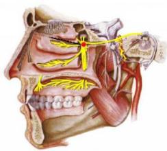 医院耳鼻喉科怎么治急性鼻炎,耳鼻喉医院鼻炎特效药