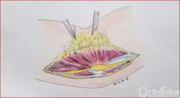 手绘科普视频,手绘类科普