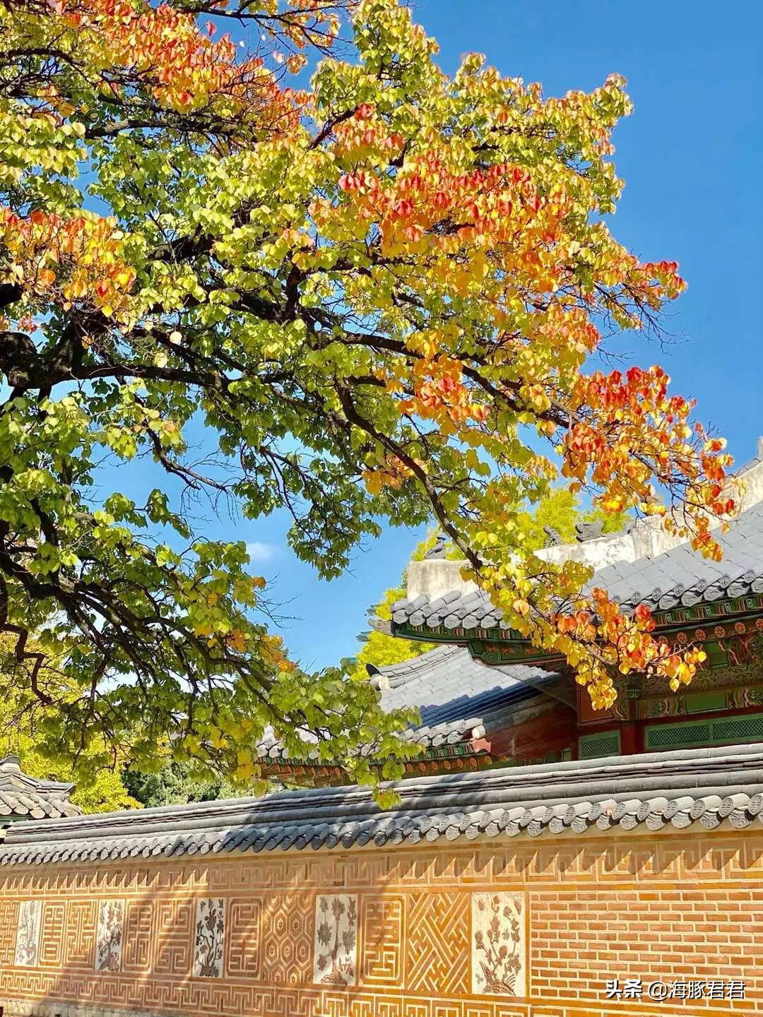 韩国首尔购物攻略视频,韩国首尔最新旅游攻略