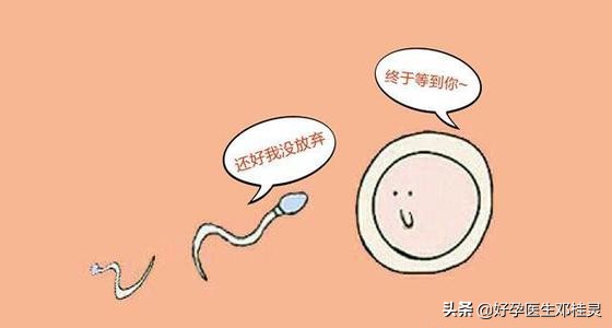 输卵管通而不畅盆腔粘连多囊卵巢,多囊加输卵管粘连可以自然受孕吗