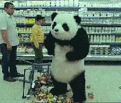 baby都在穿的乐虎鞋,baby所有服装图片