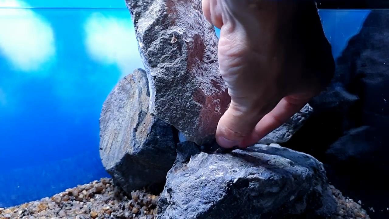 石头观赏鱼缸建造图,4块石头造景20缸