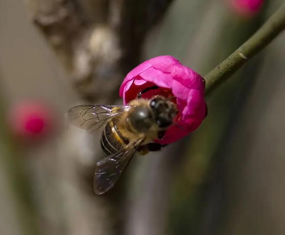 高二理科生数学和物理太差怎么办,高二物理化学怎么逆袭