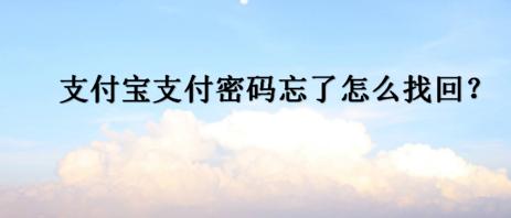 支付宝支付密码忘了怎么办,支付宝支付密码忘了怎么办小米