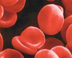 头发太长会吸取养分吗,头发太长会吸收脑部营养吗