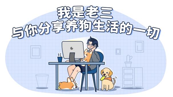 男生猛犬穿女装,男生细狗穿女装