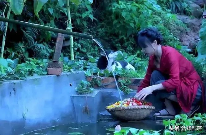 马云说未来农村致富好项目,马云预言农村未来三个行业最赚钱