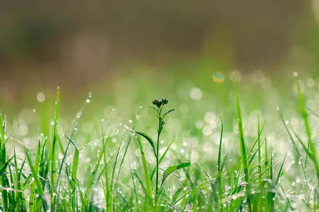 改变老公怎么那么难,改变老公计划