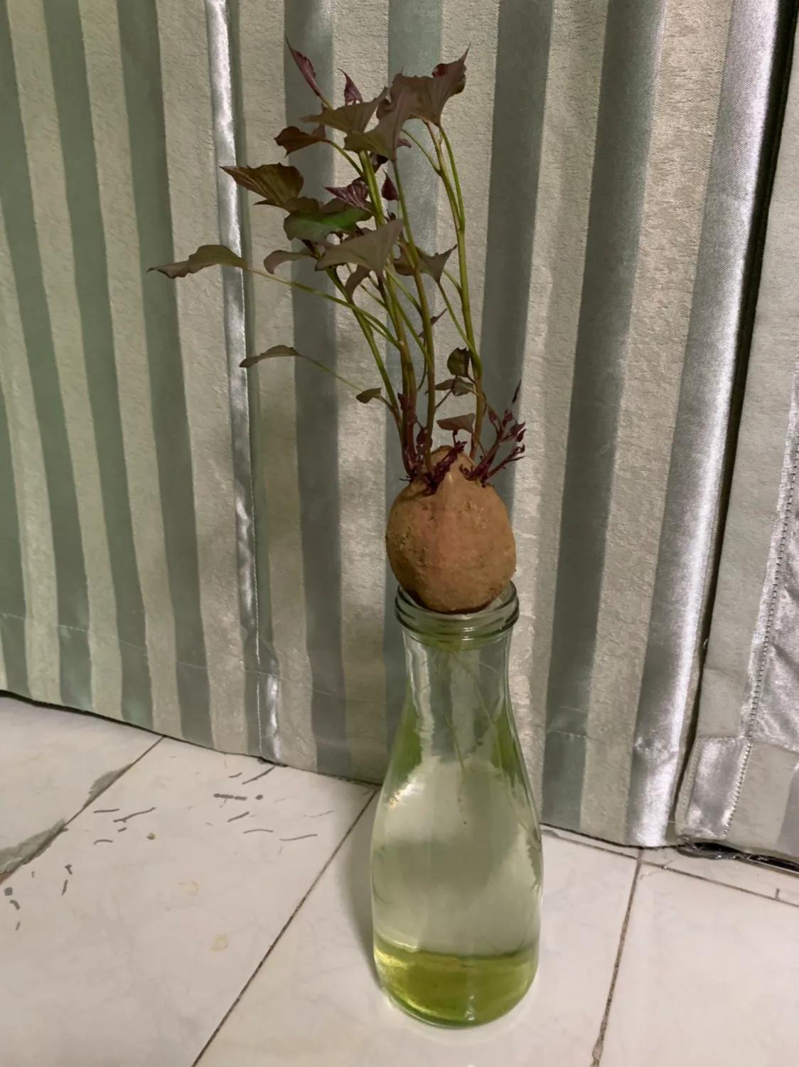 青少年打嗝怎么处理,孩子总打嗝怎么处理