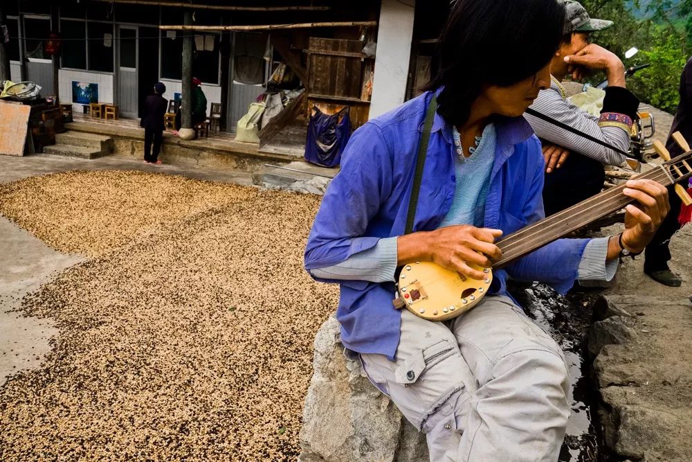 不是星巴克也不是瑞幸，为何只有拼多多才能拯救中国咖啡种植业？