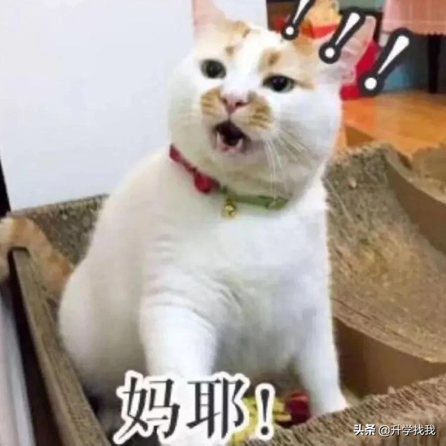 南开中学和南开融侨中学区别,融侨南开中学跟南开脱钩了吗