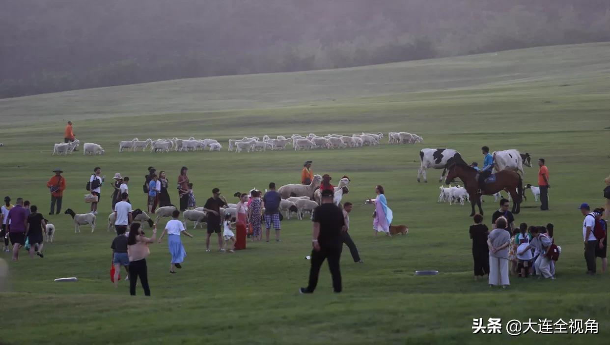 大连三观寰牧场坐车攻略,大连三寰牧场草原视频
