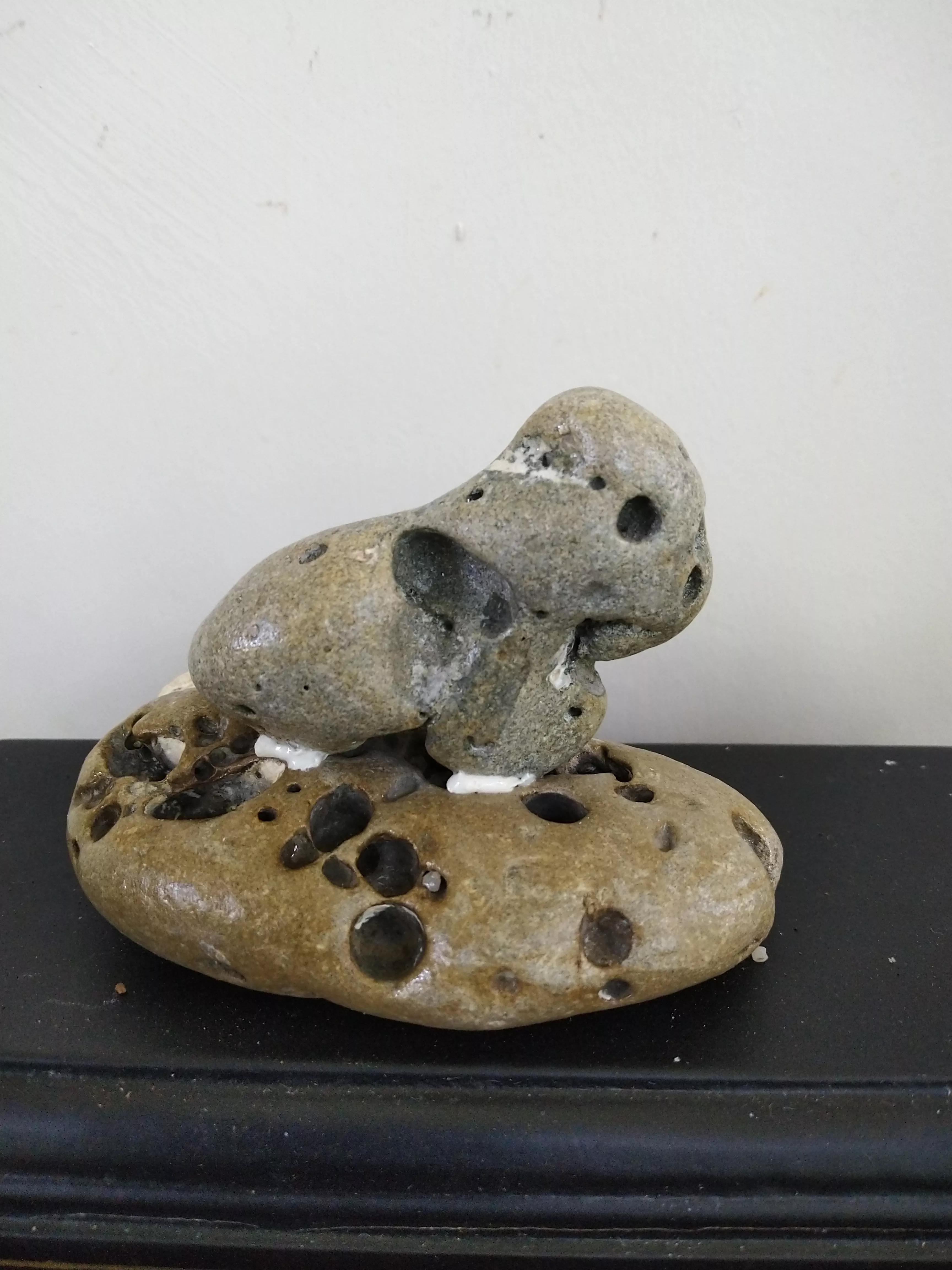 发现大自然的美的作文500字,发现大自然的美一篇作文