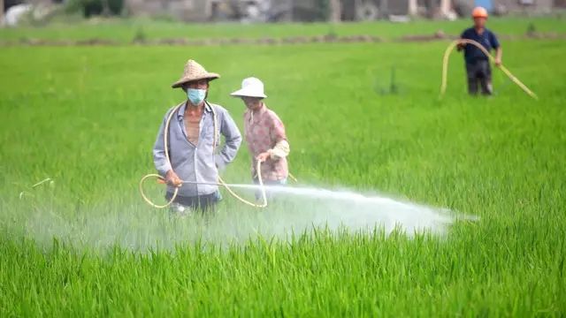 农业电气化专业是冷门还热门专业,农业机械化及其自动化是冷门专业