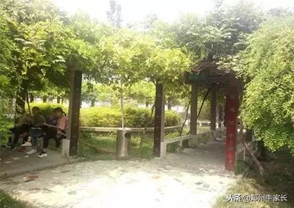 这所学校，仅五年就在郑州民办中学圈迅速崭露头角！真相了！