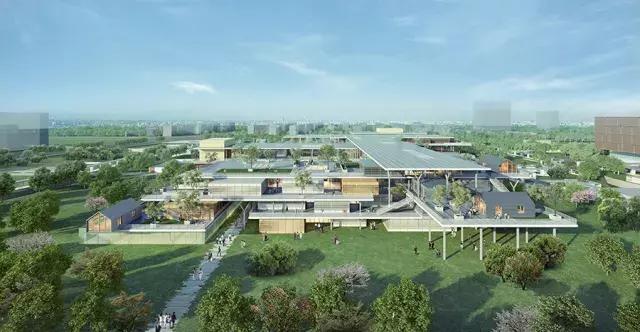 上海浦东高端地标,浦东未来三十年规划图