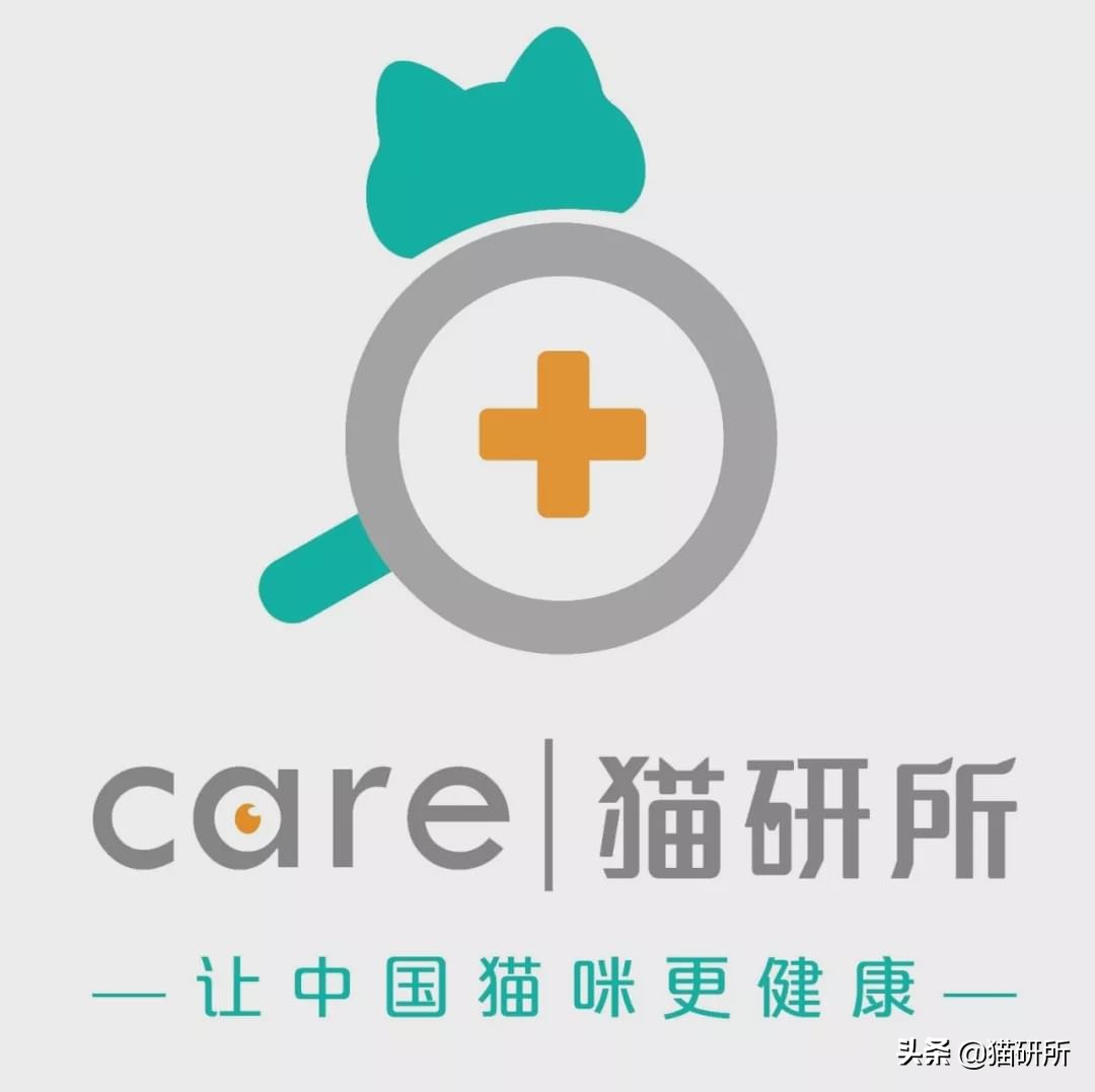 猫咪肚子圆鼓鼓，怎么区分是胖还是生病？