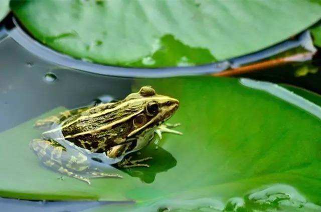 夜钓时遇见哪些恐怖的事情,夜钓怪异的事