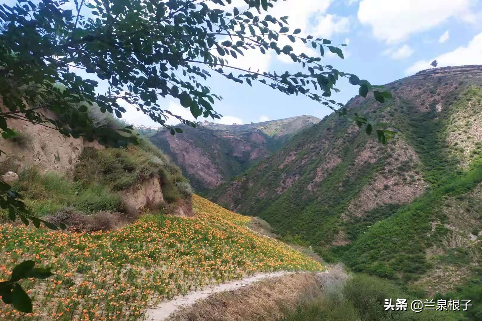 兰州南部大山深处山脊线上的美丽原野乡村沟对巴