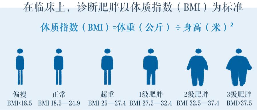 越瘦反而越不自信,脸瘦了反而丑了