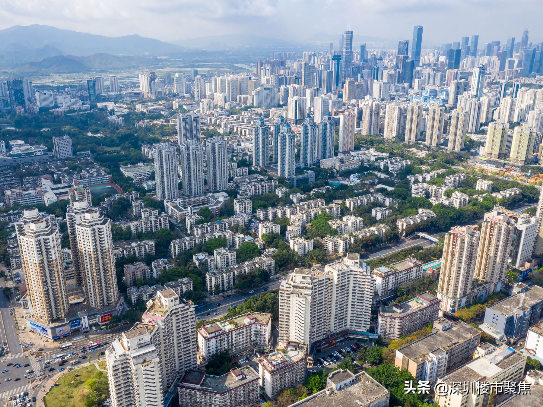 福田中学汤唯,汤唯的学校