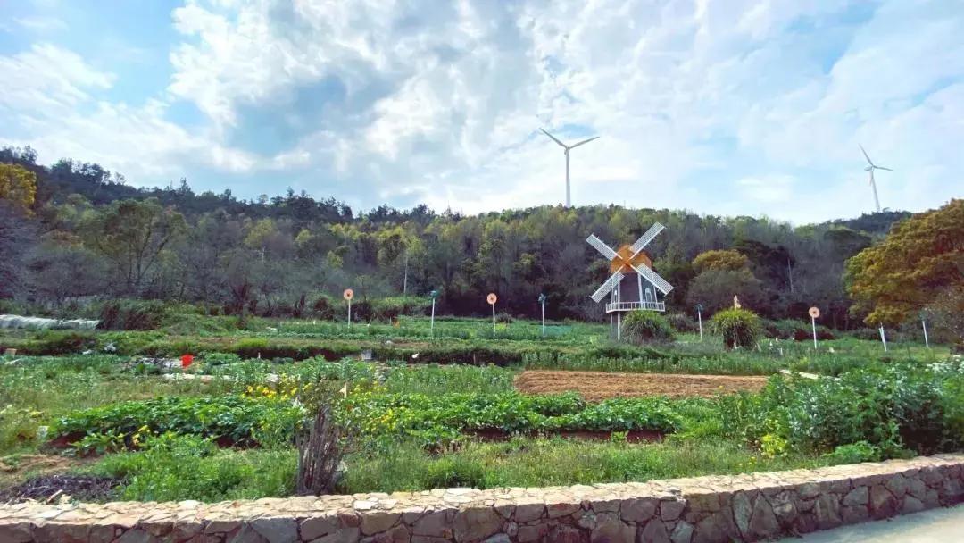 温州洞头隔头村,洞头隔头村