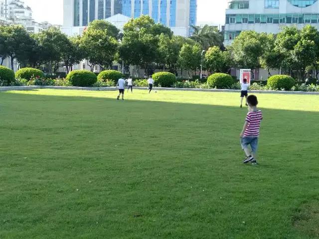 晨练即景七绝,小区早晨景色七绝诗