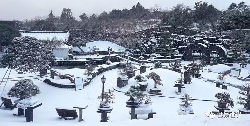 走进韩国思索之苑，这里算得上世界最美的庭园吗