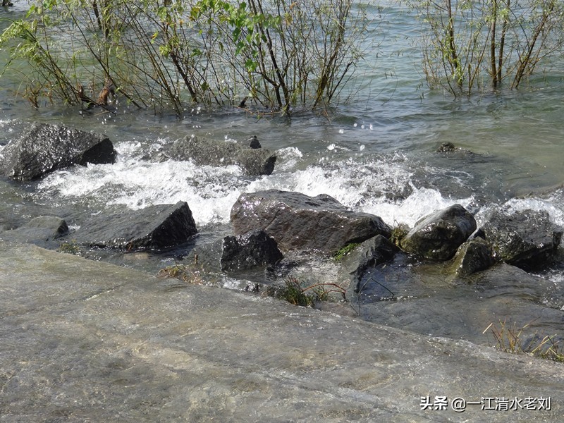 中年妇女网名昵称,中年个性网名