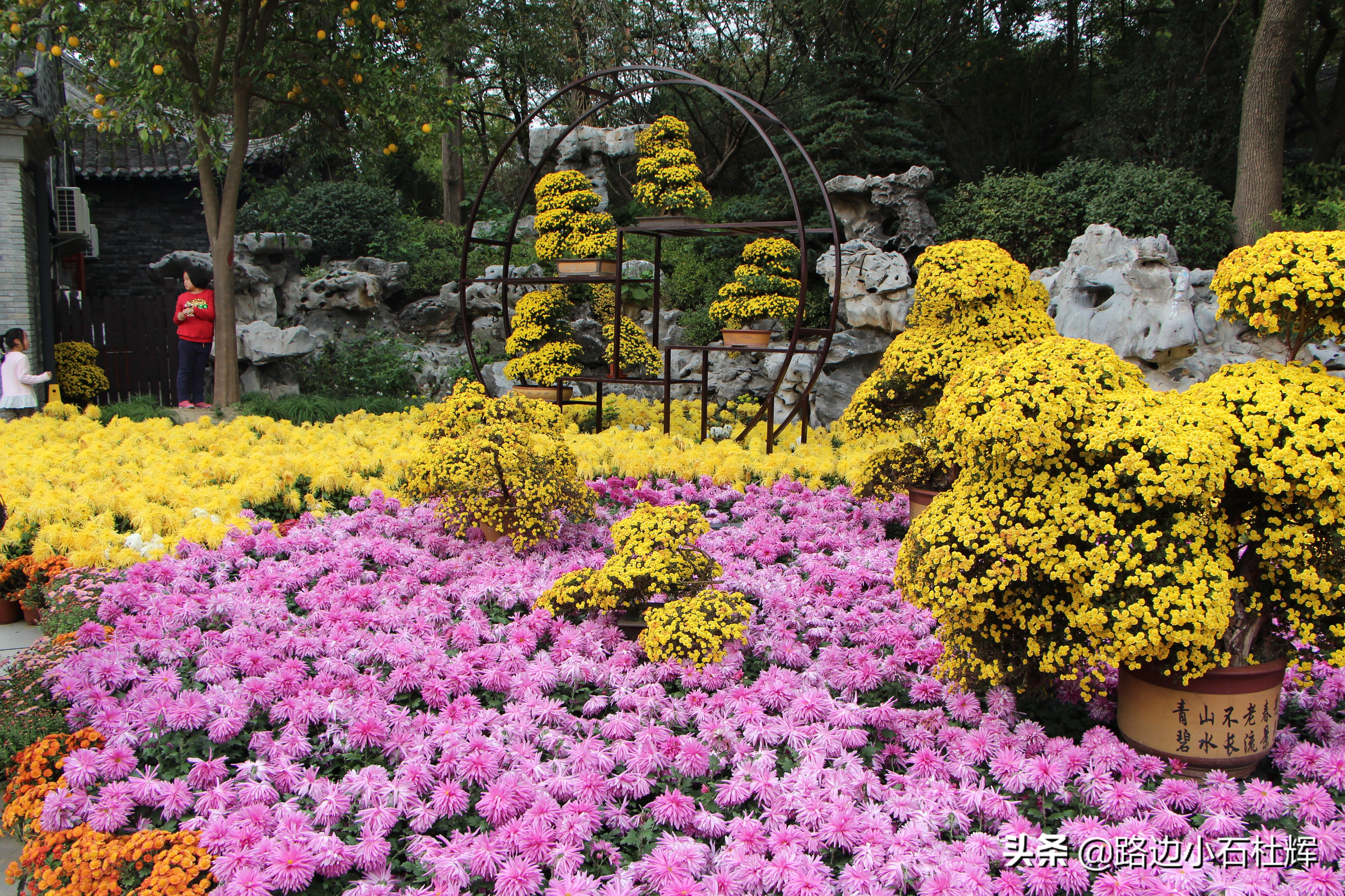 扬州瘦西湖之行,扬州瘦西湖游一圈