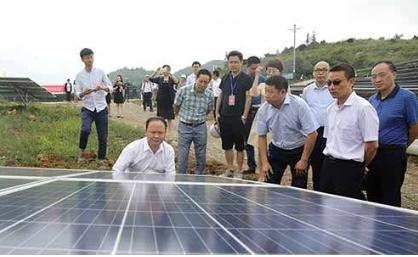 通威集团发家史,通威集团的发展历程