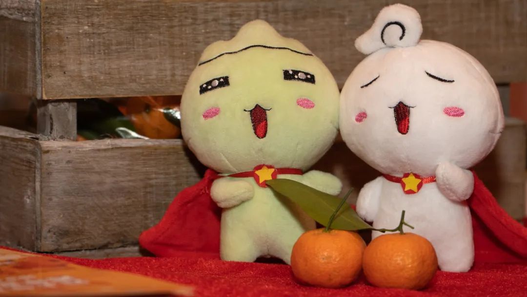 青年助农志愿服务队,青年志愿者协会助力乡村振兴