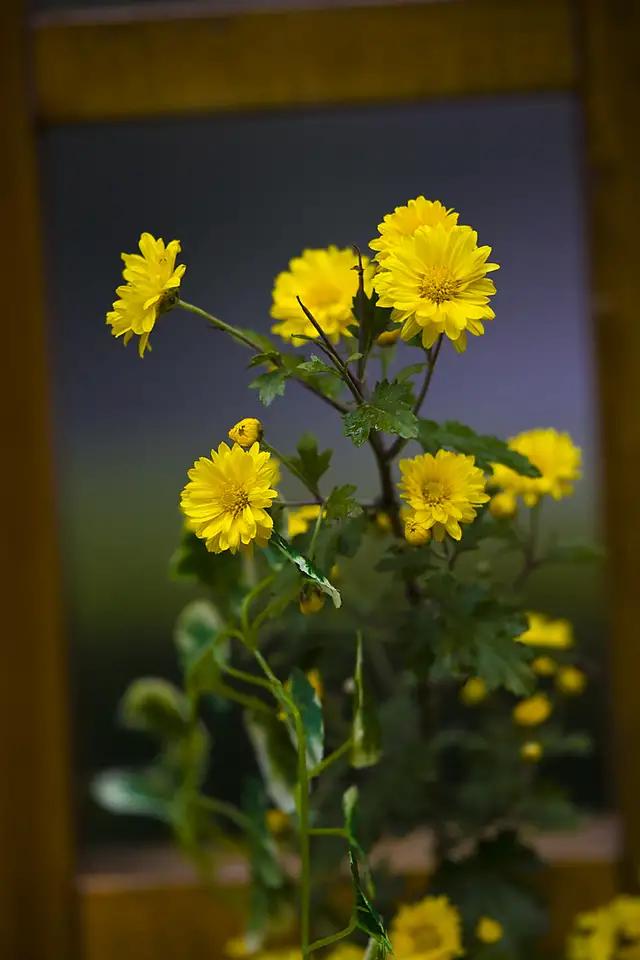 u盘怕弄丢了,u盘丢了怎么找啊