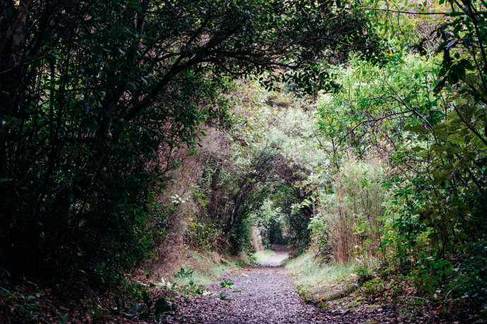 新西兰｜在首屈一指的滑雪胜地，与黑天鹅一起戏水