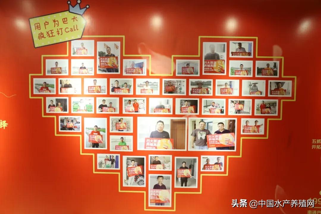 未来五年，实现年销量突破18万吨！南通巴大25周年华诞之际，超400位经销商现场共同见证