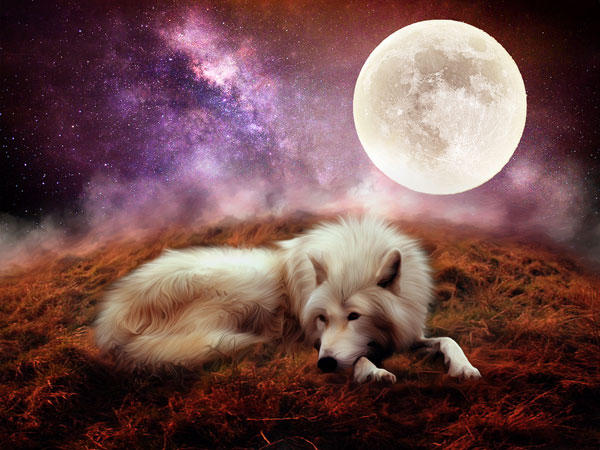 ps照片处理大全,ps如何做创意照片