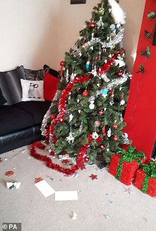 小狗误食了巧克力的状态,小狗吃巧克力中毒急救