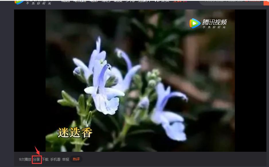 电脑上制作的视频怎么发到抖音,怎样在电脑上制作电子相册