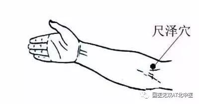 病毒当前不能慌穴位强肺助抵抗