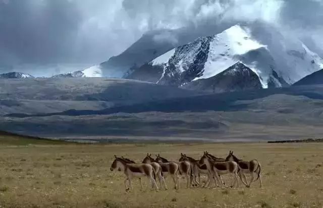 下半年旅行最佳时间表,2023最佳旅游时间表