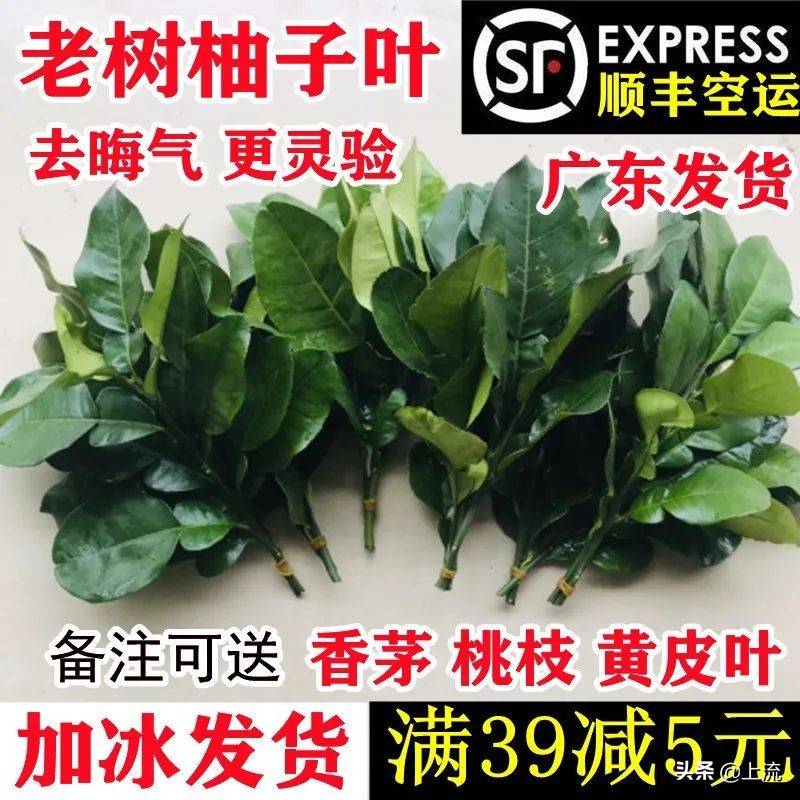 柚子叶洗澡有什么讲究,广州人为什么喜欢用柚子叶洗澡