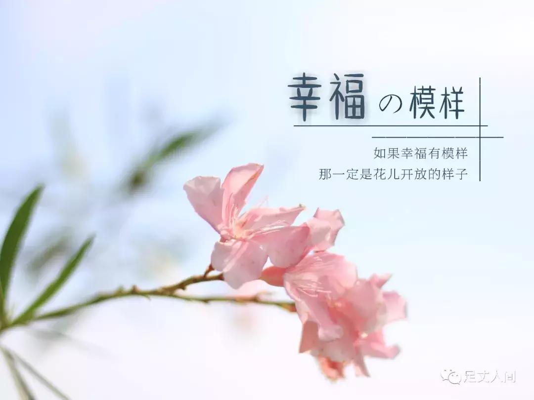 观澜版画村,观澜版画村生态艺术研学基地