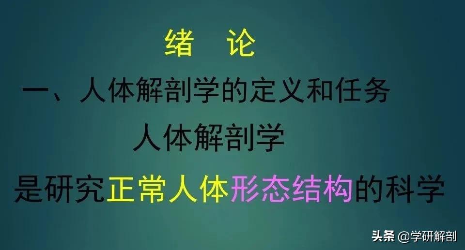 人体解剖学和系统解剖学,解剖学人体重要结构讲解
