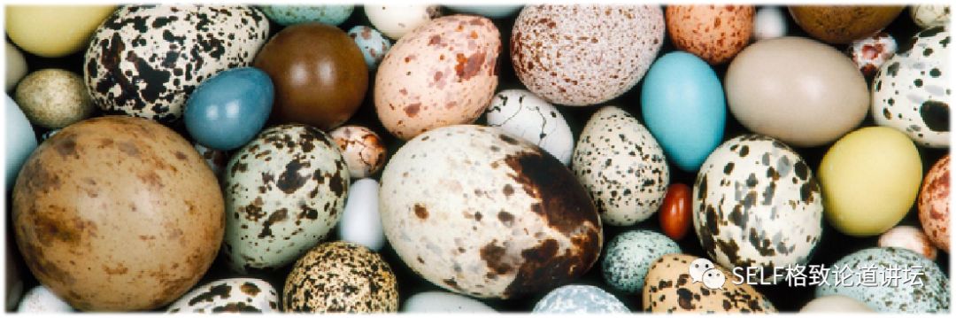 科学家如何观察植物,鸟类的研究方法