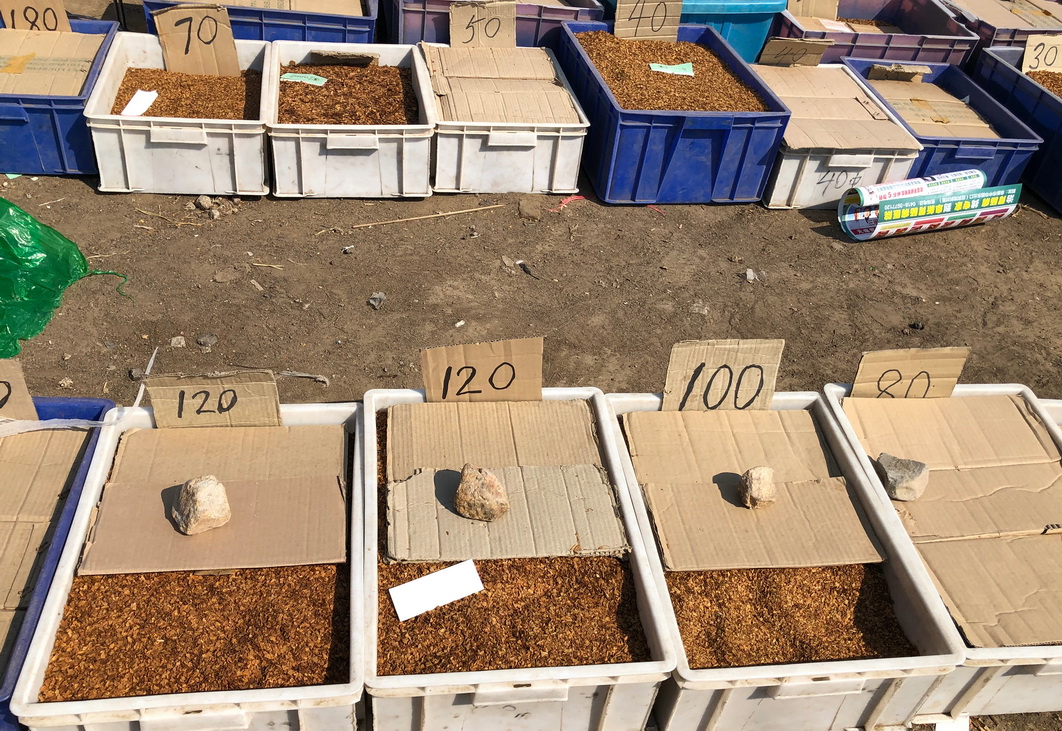 阜新各乡镇集市,阜新地方特色集市