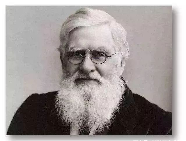 谈谈生物进化的认识,有关生物进化的知识