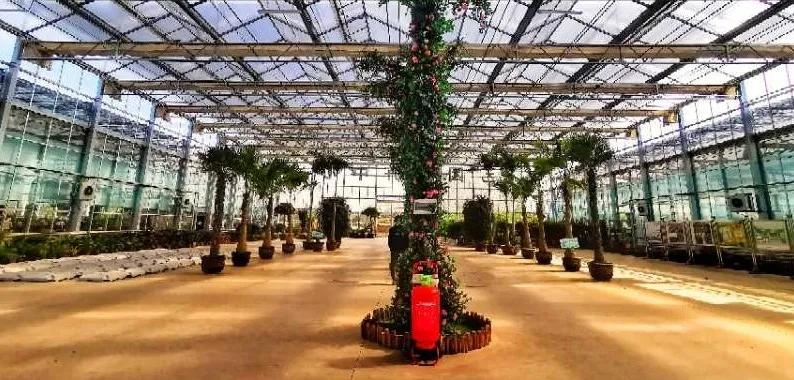 沈阳比较大的花卉市场,沈阳大东北最大花卉市场在哪里