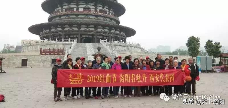 我的旅行社,厉害了我的旅游团