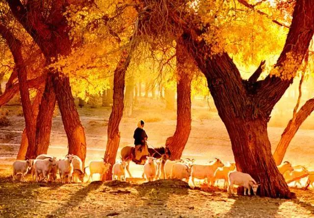 这是最值得收藏的旅行清单，顺着24节气，带娃游遍中国